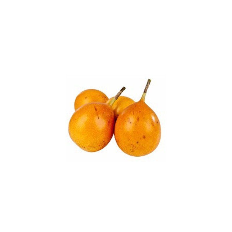 granadilla 1und granadilla 1und
