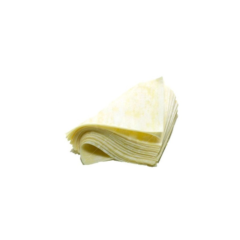 Wantan CONGELÃ 500g