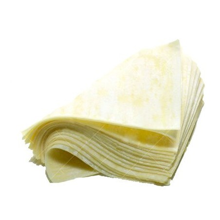 Wantan CONGELÃ 500g