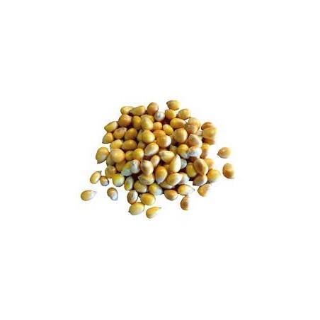 Pop Corn 250g