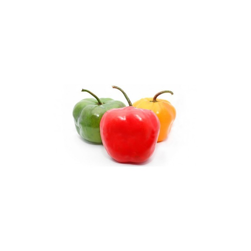 Piment Frais Rocoto 3 kilos 