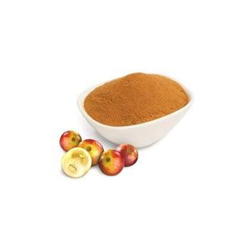 Camu Camu deshydratÃ© BIO 100G