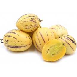 Pepino fruta fresca 1k