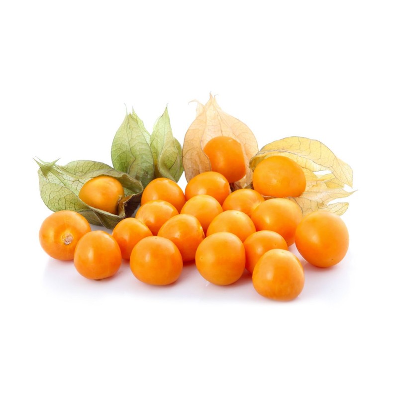 fruit exotique Aguaymanto 1kg fruit exotique Aguaymanto 1kg